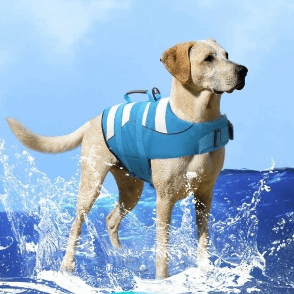 Dog Life Jacket Vest Buoyancy Handle - سترة نجاة عاكسة للكلاب ذات طفو