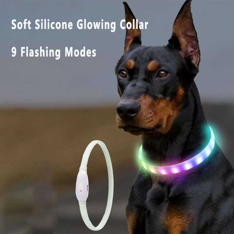 Led Dog Collar Glowing Rechargeable Usb - طوق متوهج قابل لإعادة الشحن عبر