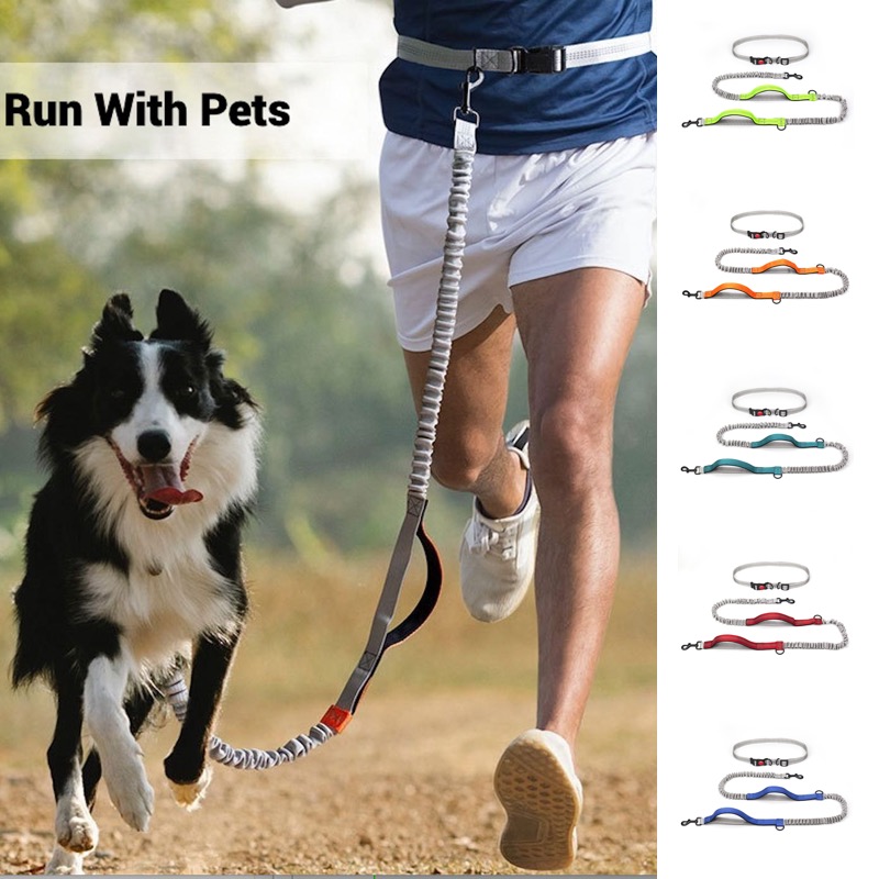 Bungee Dog Leash Shock Absorbing - مقود كلب بنجي عاكس للجري بدون