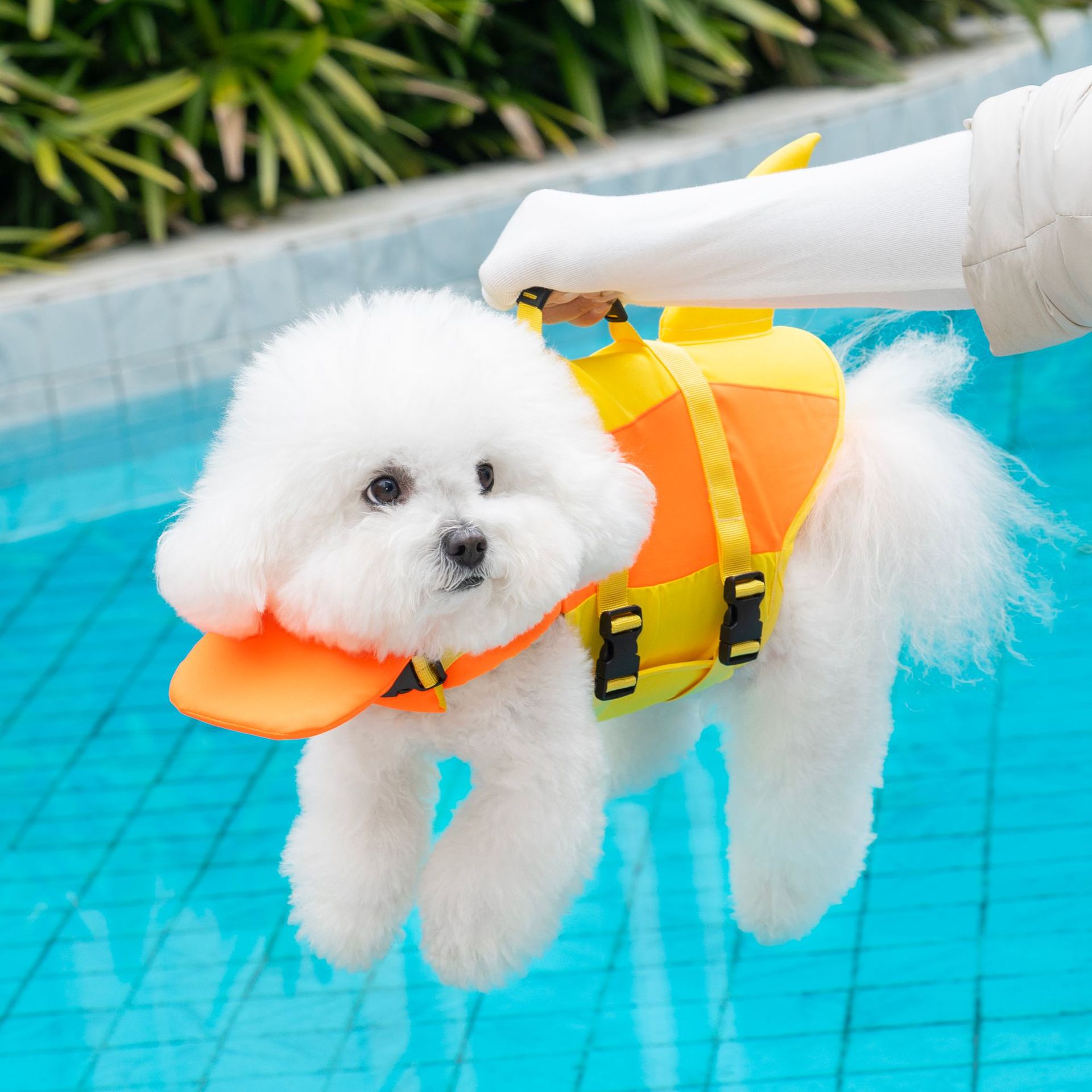 Dog Life Jacket Vest Buoyancy Handle - سترة نجاة للكلاب على شكل سمكة