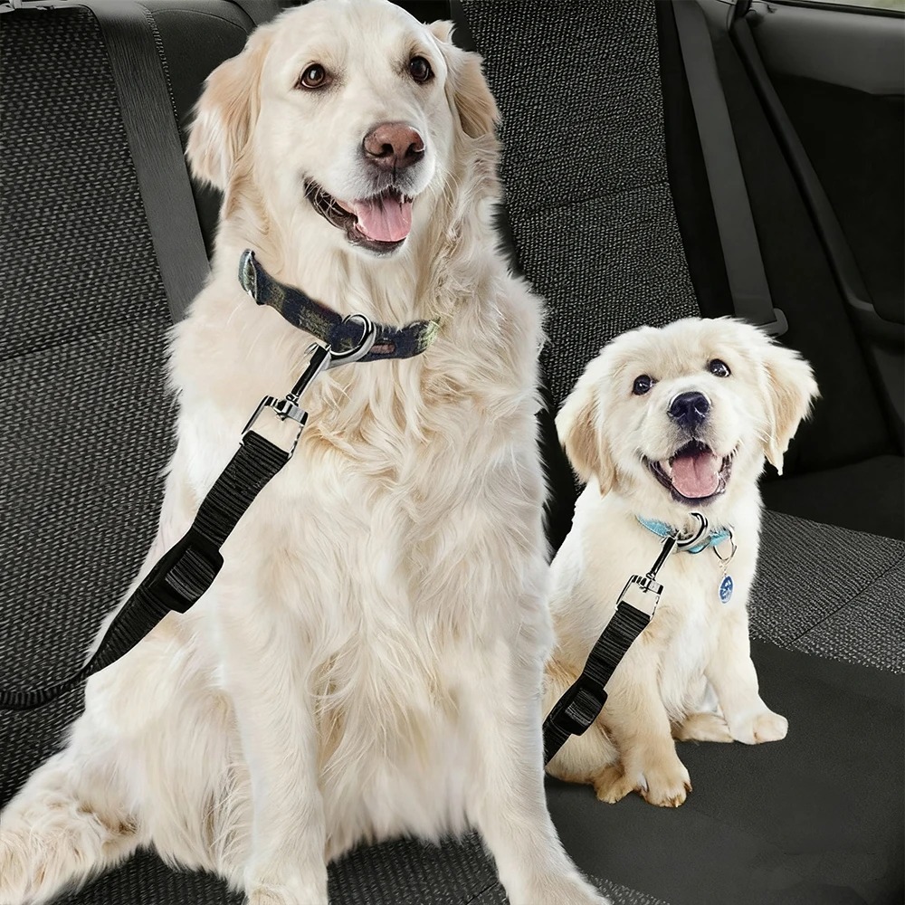 Dog Seat Belt Harness Safety Tether - حزام أمان قابل للتعديل من النايلون