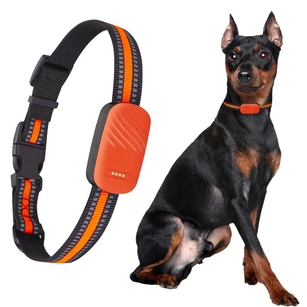 Dog Gps Tracker Collar 4G Waterproof - جهاز تتبع GPS للحيوانات الأليفة بتقنية