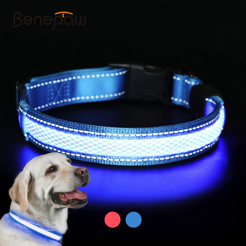 Led Dog Collar Glowing Rechargeable Usb - Benepaw LED طوق بكلاب USB قابل