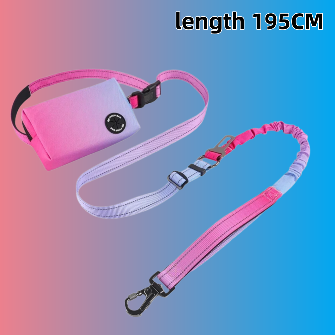 Bungee Dog Leash Shock Absorbing - حبل توجيه للكلاب بدون استخدام اليدين