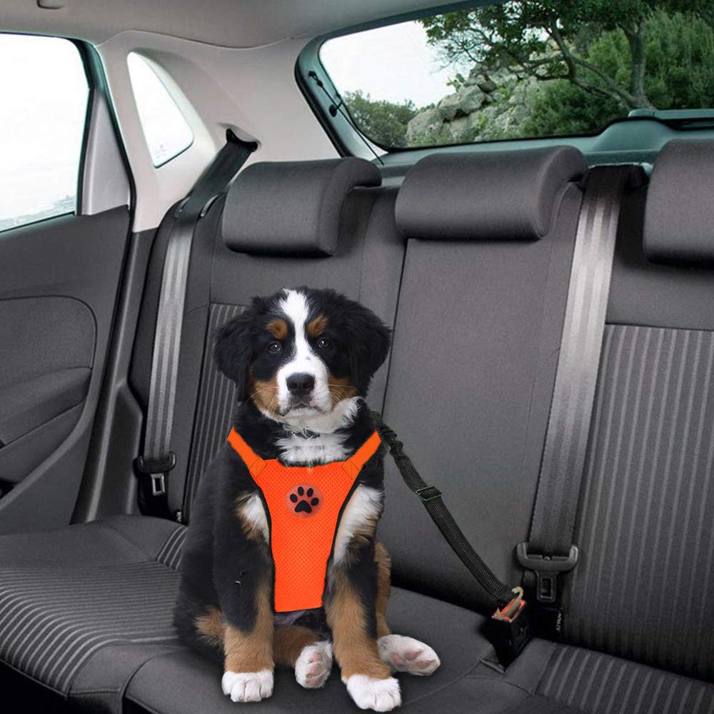 Dog Seat Belt Harness Safety Tether - مجموعة حزام الأمان الكلب سيارة تسخير