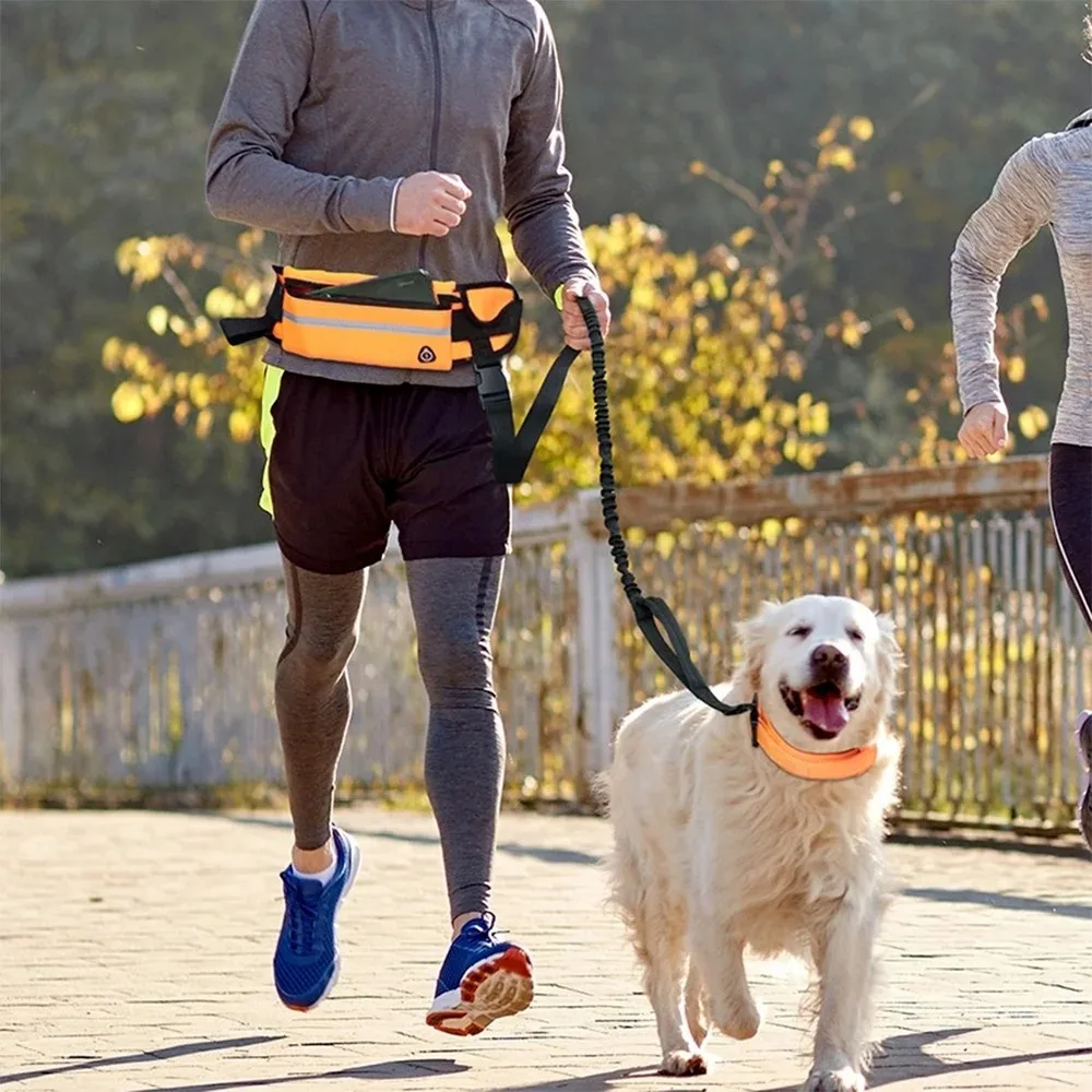 Hands Free Dog Running Leash Waist Belt - مقود الكلب بدون استخدام اليدين لتشغيل