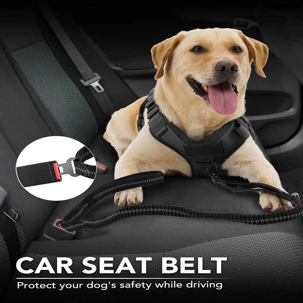 لا سحب الكلب المقود عاكس امتصا - مراجعة Bungee Dog Leash Shock Absorbing وسعره