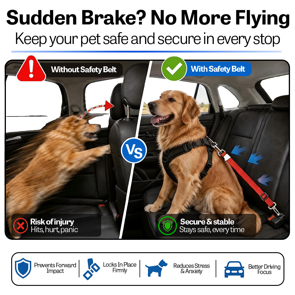 حزام أمان للكلاب في السيارة، ح - مراجعة Dog Seat Belt Harness Safety Tether وسعره