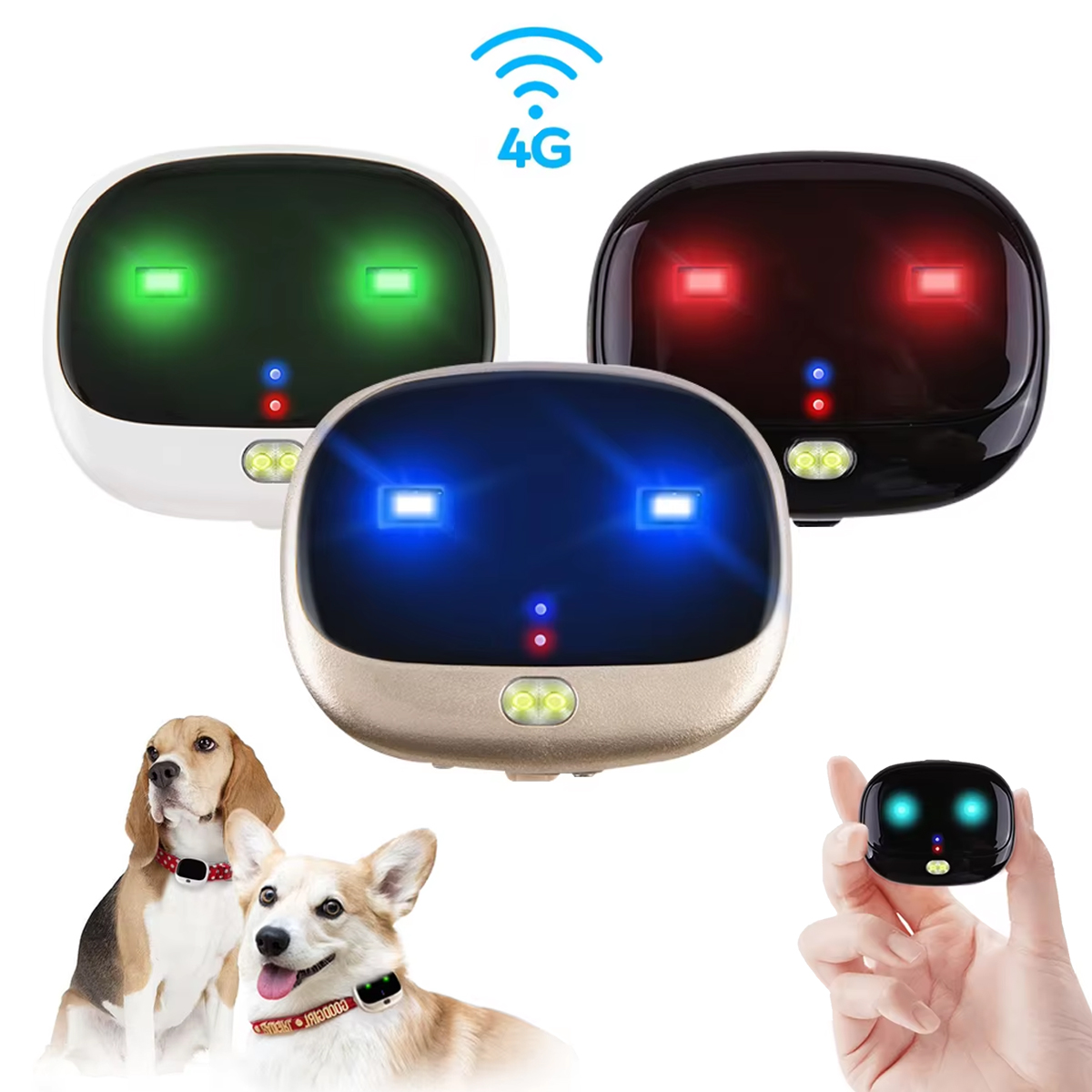 4G مقاوم للماء لتحديد المواقع  - مراجعة Dog Gps Tracker Collar 4G Waterproof وسعره