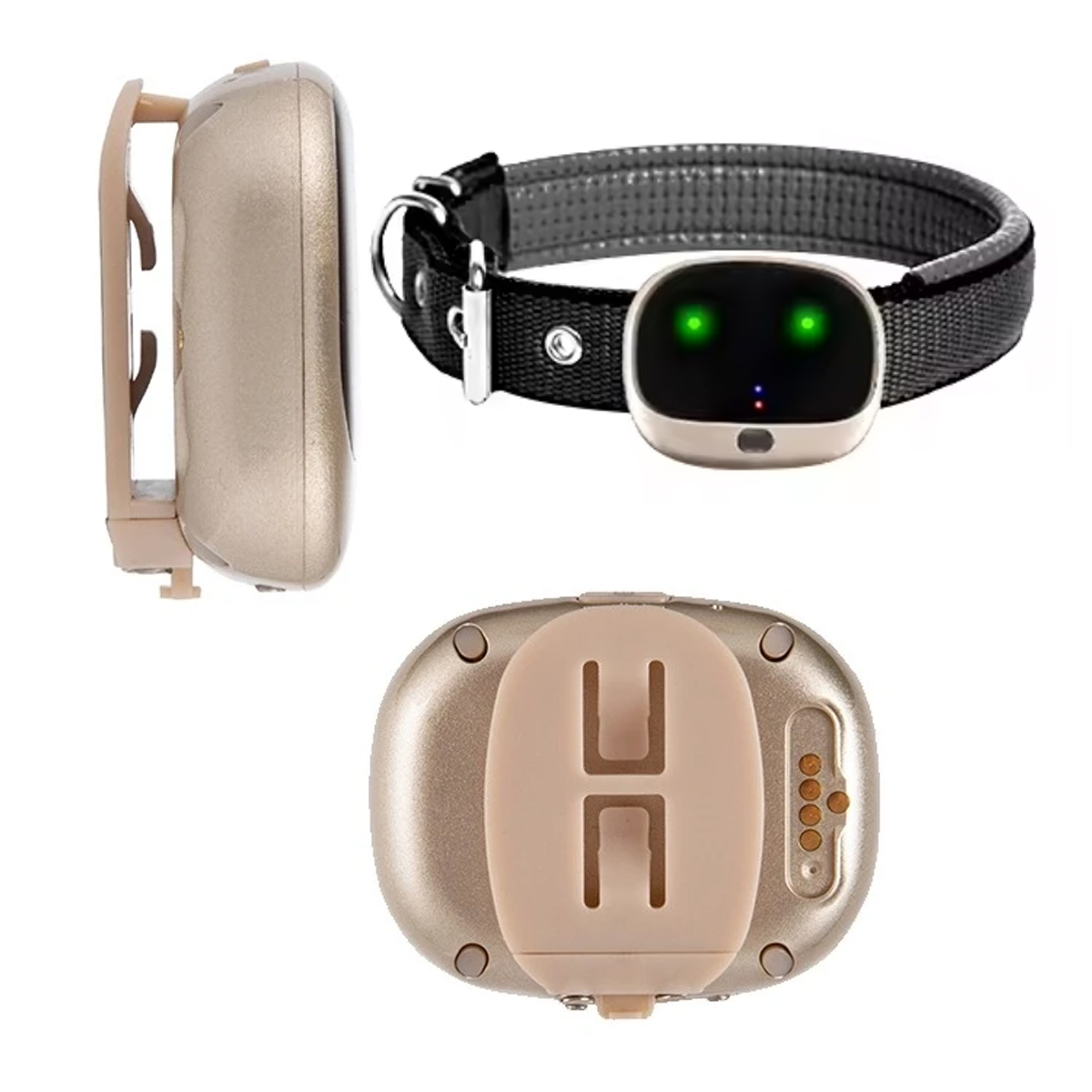 4G مقاوم للماء لتحديد المواقع  - مراجعة Dog Gps Tracker Collar 4G Waterproof وسعره