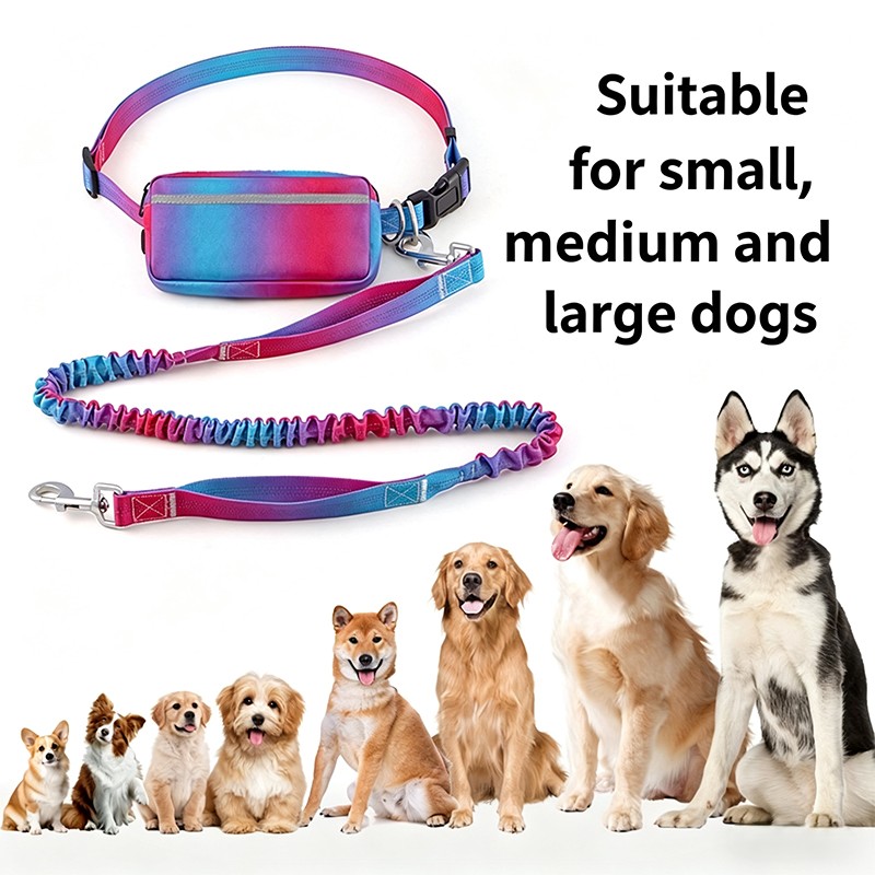 حزام مشي للكلاب مرن للجري بدون - مراجعة Hands Free Dog Running Leash Waist Belt وسعره