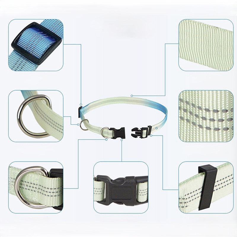 حزام مشي للكلاب مرن للجري بدون - مراجعة Hands Free Dog Running Leash Waist Belt وسعره
