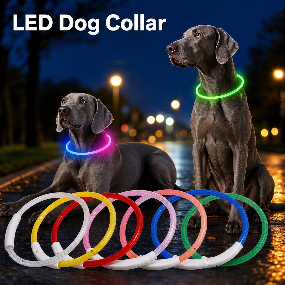 طوق كلب LED قابل لإعادة الشحن  - مراجعة Led Dog Collar Glowing Rechargeable Usb وسعره