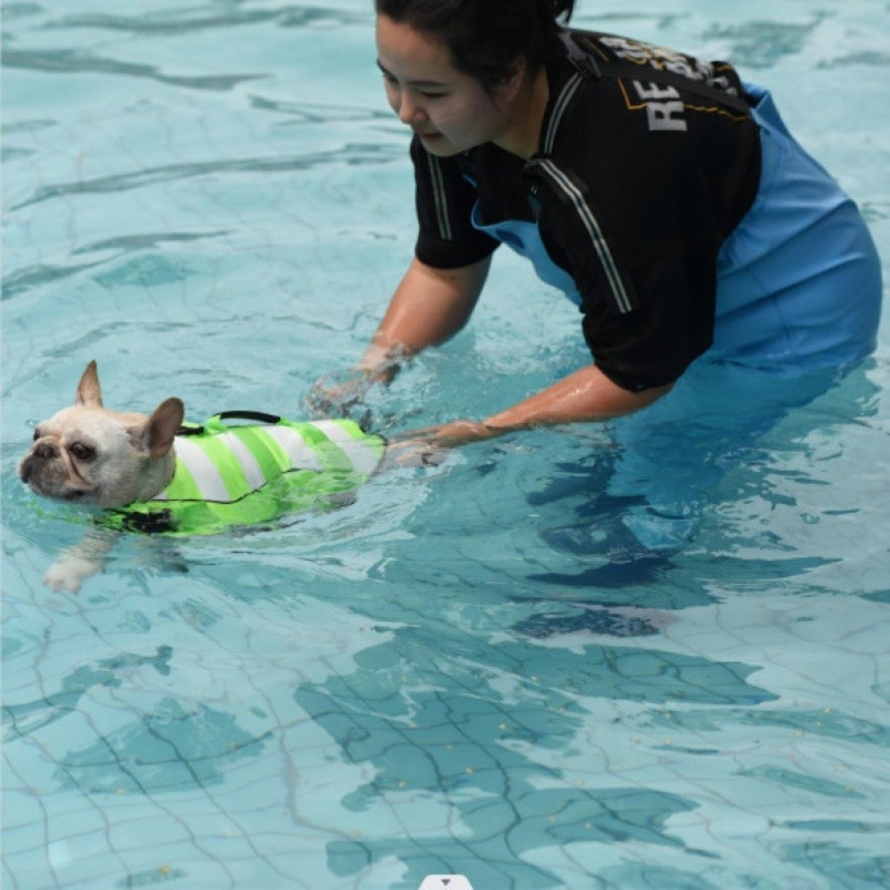 سترة نجاة عاكسة للكلاب ذات طفو - مراجعة Dog Life Jacket Vest Buoyancy Handle وسعره