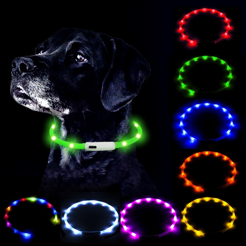 طوق كلب LED قابل لإعادة الشحن  - مراجعة Led Dog Collar Glowing Rechargeable Usb وسعره