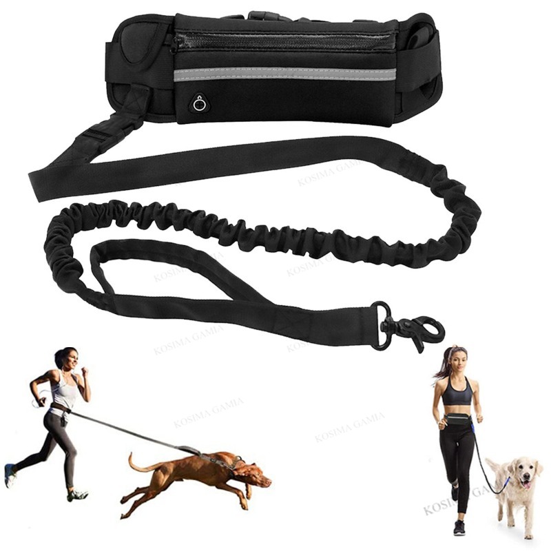 مستلزمات متعددة الوظائف للحيوا - مراجعة Hands Free Dog Running Leash Waist Belt وسعره