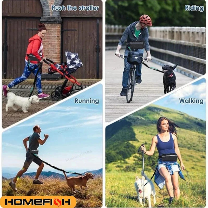 مستلزمات متعددة الوظائف للحيوا - مراجعة Hands Free Dog Running Leash Waist Belt وسعره