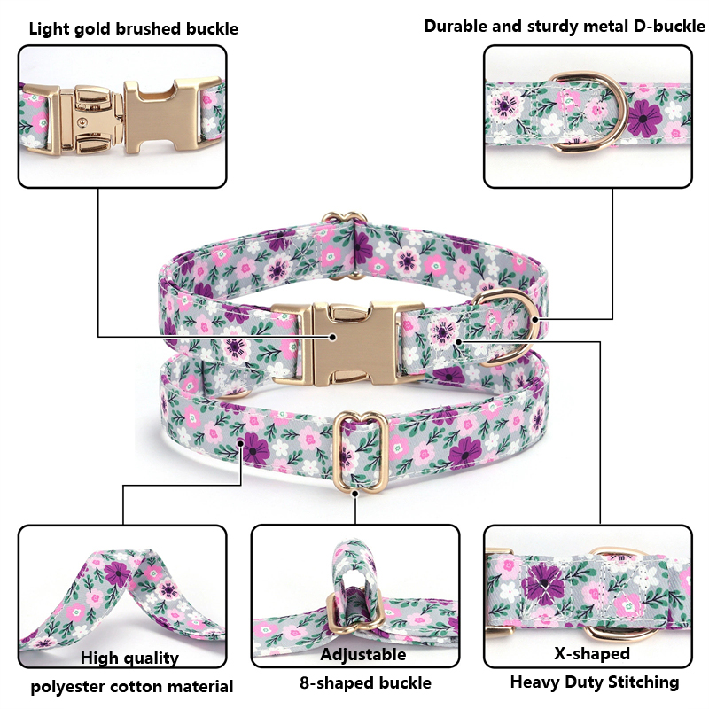 محفورة طوق بكلاب مع المقود شخص - مراجعة Reflective Dog Collar Personalized Engraved وسعره