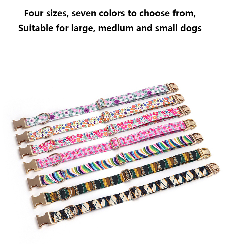 محفورة طوق بكلاب مع المقود شخص - مراجعة Reflective Dog Collar Personalized Engraved وسعره