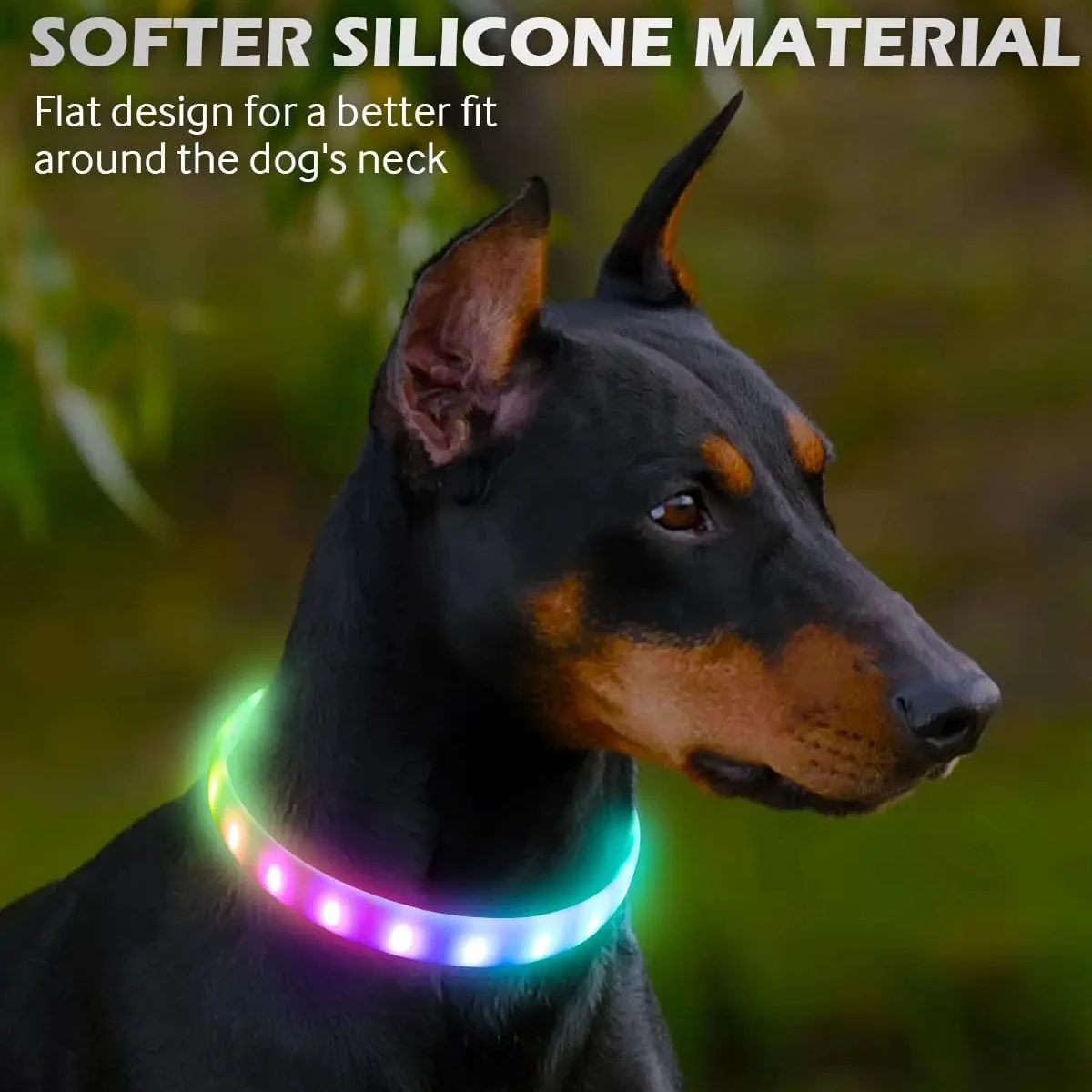 طوق متوهج قابل لإعادة الشحن عب - مراجعة Led Dog Collar Glowing Rechargeable Usb وسعره