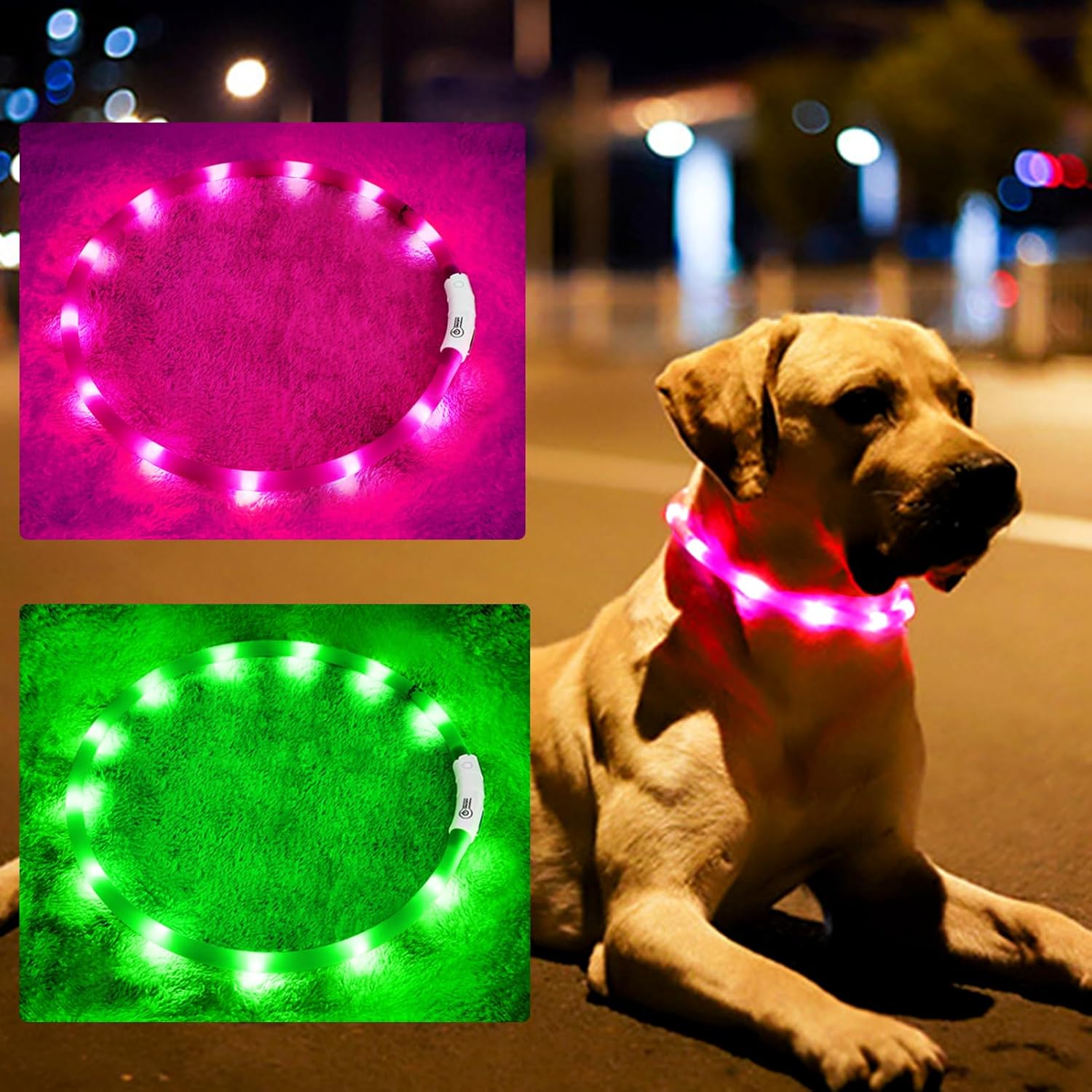 طوق كلب LED من السيليكون، متوه - مراجعة Led Dog Collar Glowing Rechargeable Usb وسعره