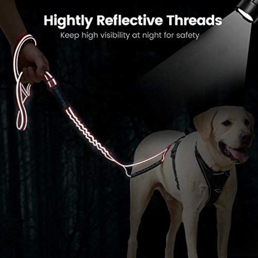 حبل توجيه للكلاب بطول 6 أقدام/ - مراجعة Heavy Duty Dog Leash Rope 6Ft Padded وسعره