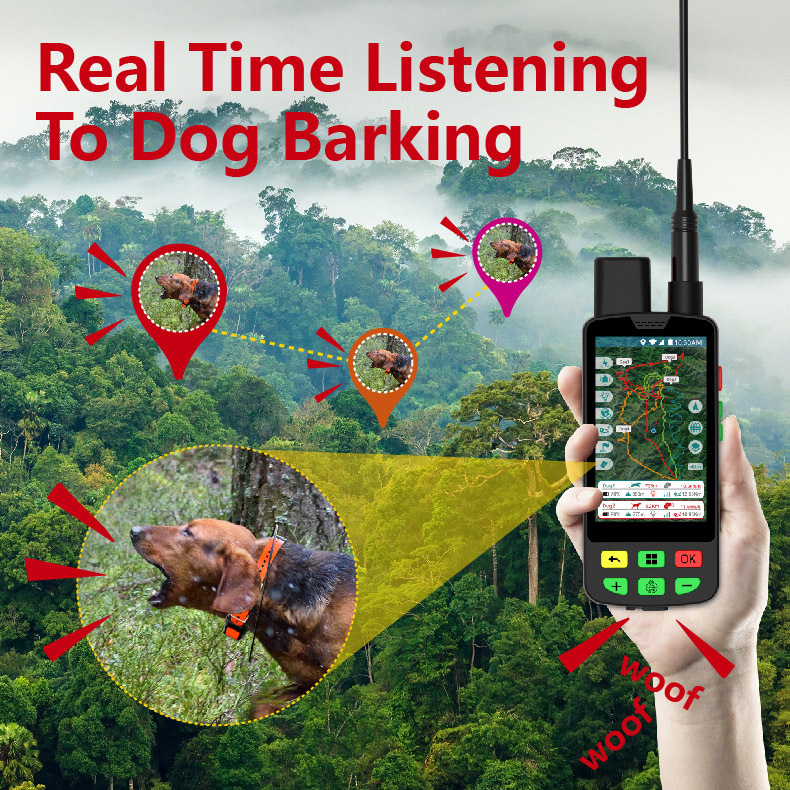 طوق كلب بتقنية GPS 4G مع تتبع  - مراجعة Hunting Dog Tracking Collar Gps Radio وسعره