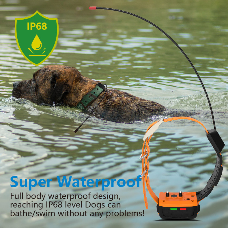 طوق كلب بتقنية GPS 4G مع تتبع  - مراجعة Hunting Dog Tracking Collar Gps Radio وسعره