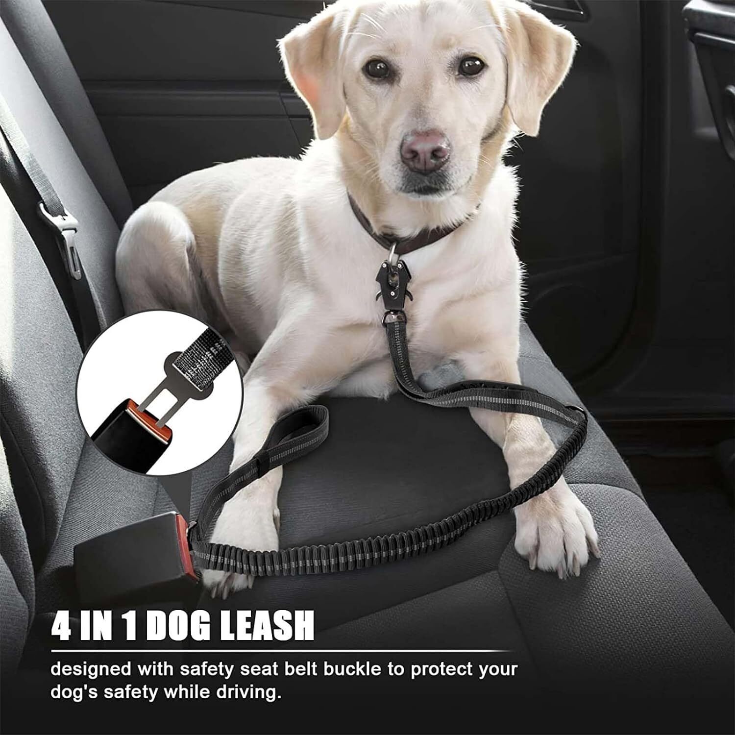 مقود كلب عاكس للضوء وممتص للصد - مراجعة Bungee Dog Leash Shock Absorbing وسعره