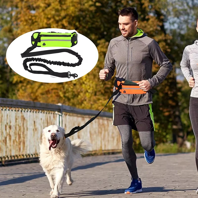 مقود الكلب بدون استخدام اليدين - مراجعة Hands Free Dog Running Leash Waist Belt وسعره