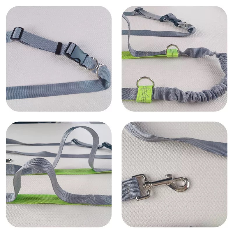 مقود كلب بنجي عاكس للجري بدون  - مراجعة Bungee Dog Leash Shock Absorbing وسعره