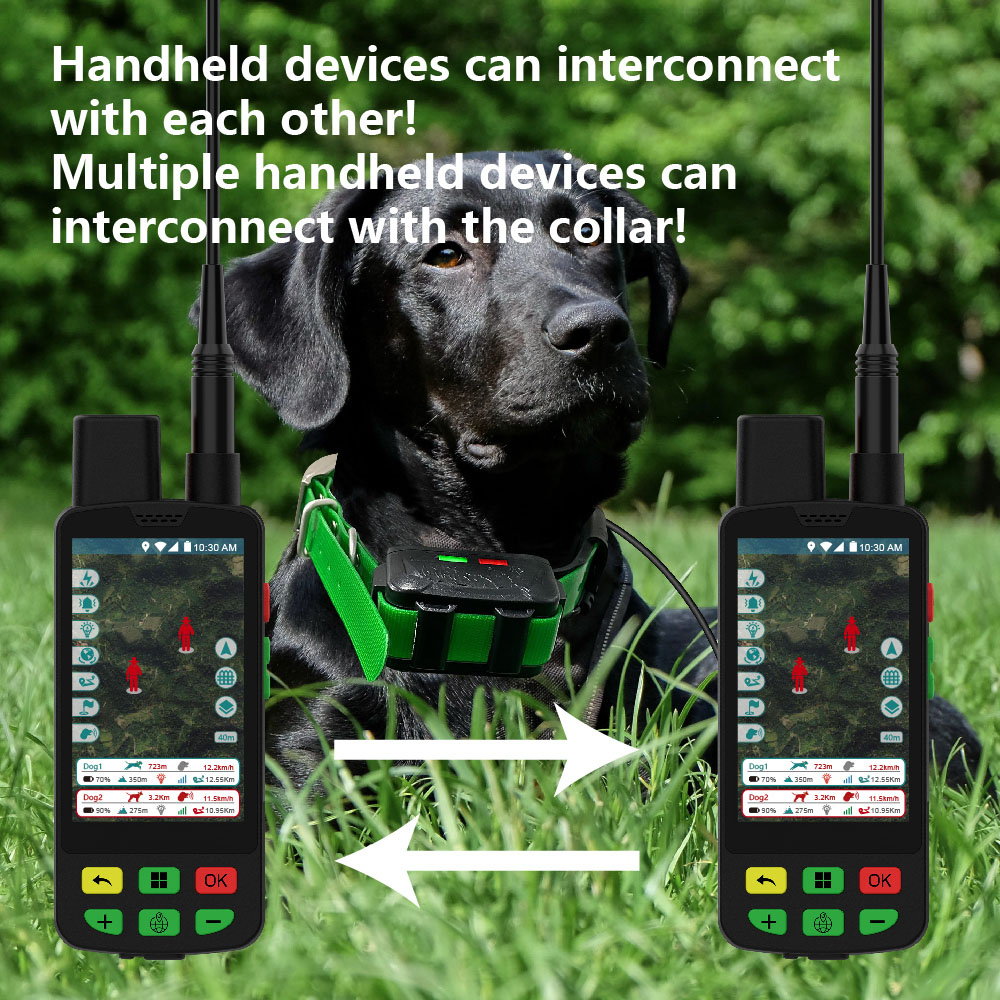 جهاز تتبع GPS للكلاب مقاوم للم - مراجعة Dog Gps Tracker Collar 4G Waterproof وسعره