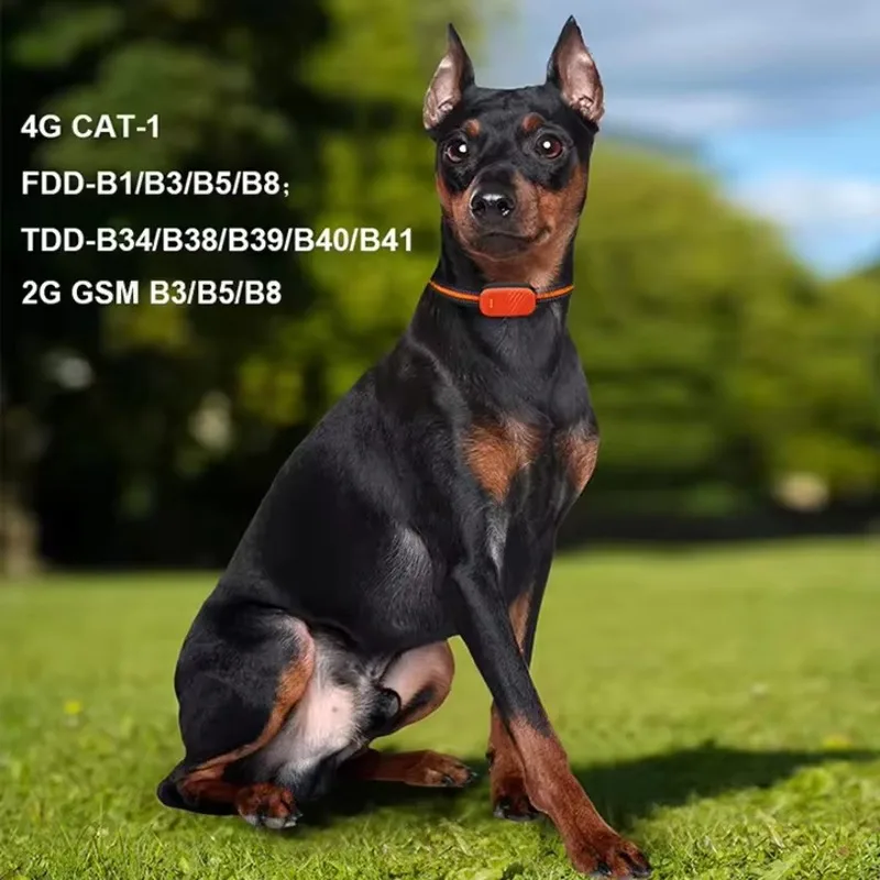 CANBOUN الأكثر مبيعًا مقاومة ل - مراجعة Dog Gps Tracker Collar 4G Waterproof وسعره