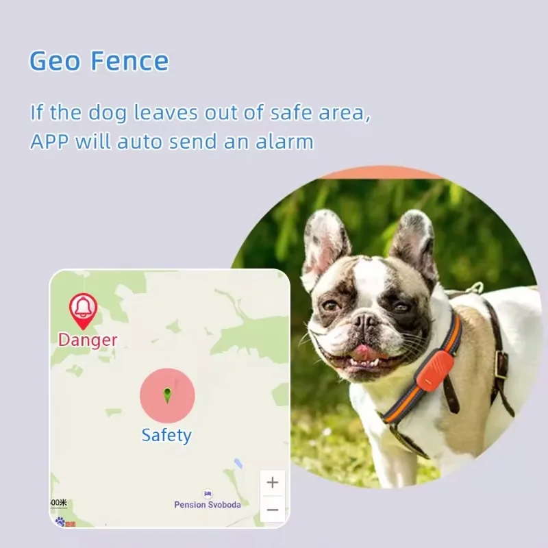 CANBOUN الأكثر مبيعًا مقاومة ل - مراجعة Dog Gps Tracker Collar 4G Waterproof وسعره