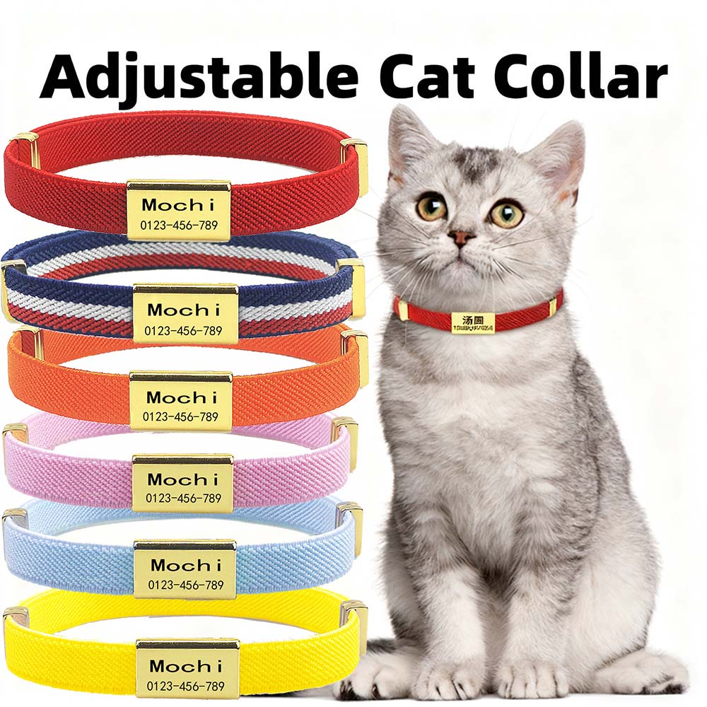 أزياء قابلة للتخصيص طوق القط م - مراجعة Reflective Dog Collar Personalized Engraved وسعره