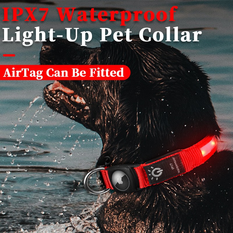 طوق كلب مضيء LED قابل لإعادة ا - مراجعة Led Dog Collar Glowing Rechargeable Usb وسعره