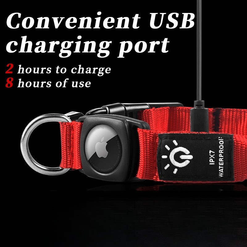 طوق كلب مضيء LED قابل لإعادة ا - مراجعة Led Dog Collar Glowing Rechargeable Usb وسعره