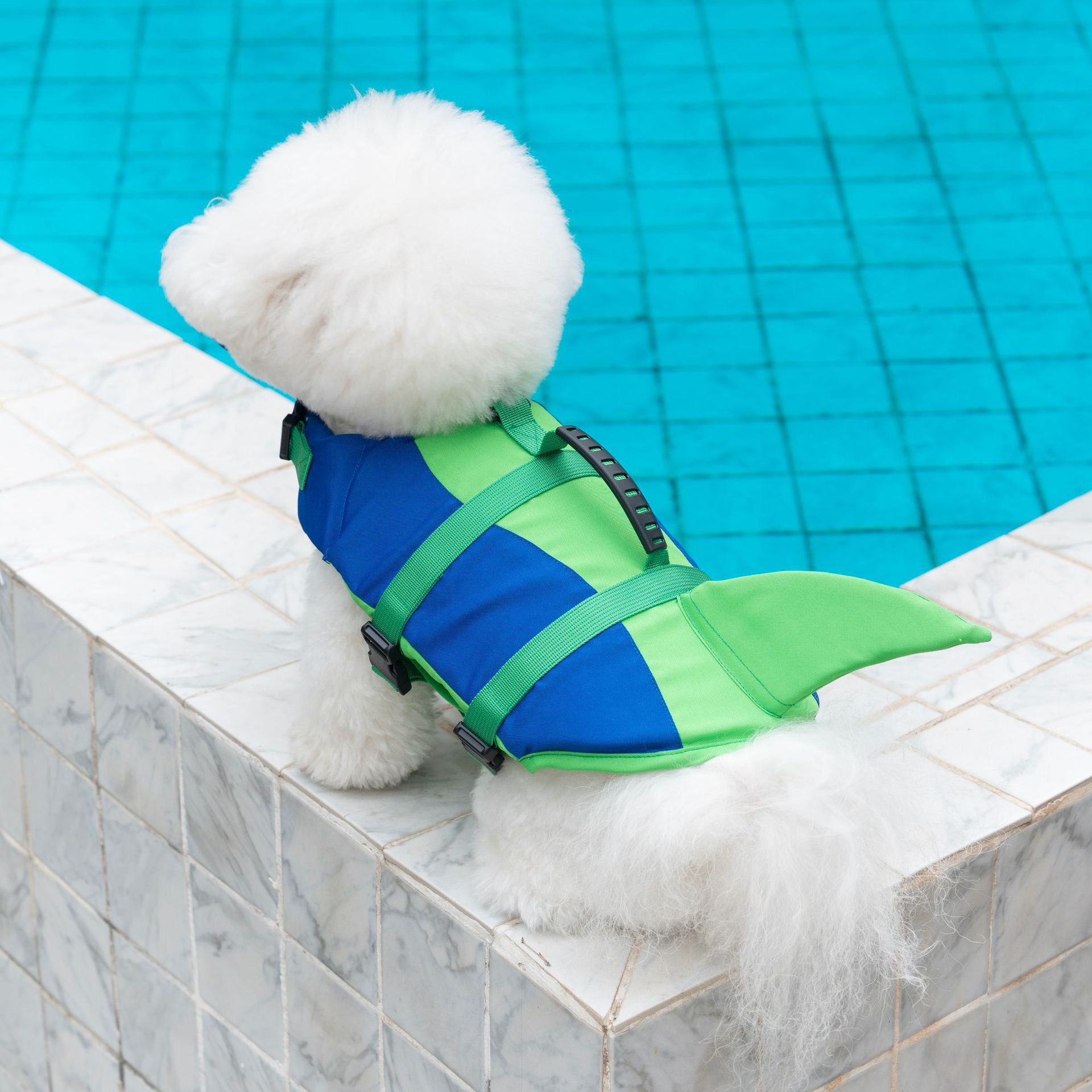 سترة نجاة للكلاب على شكل سمكة  - مراجعة Dog Life Jacket Vest Buoyancy Handle وسعره