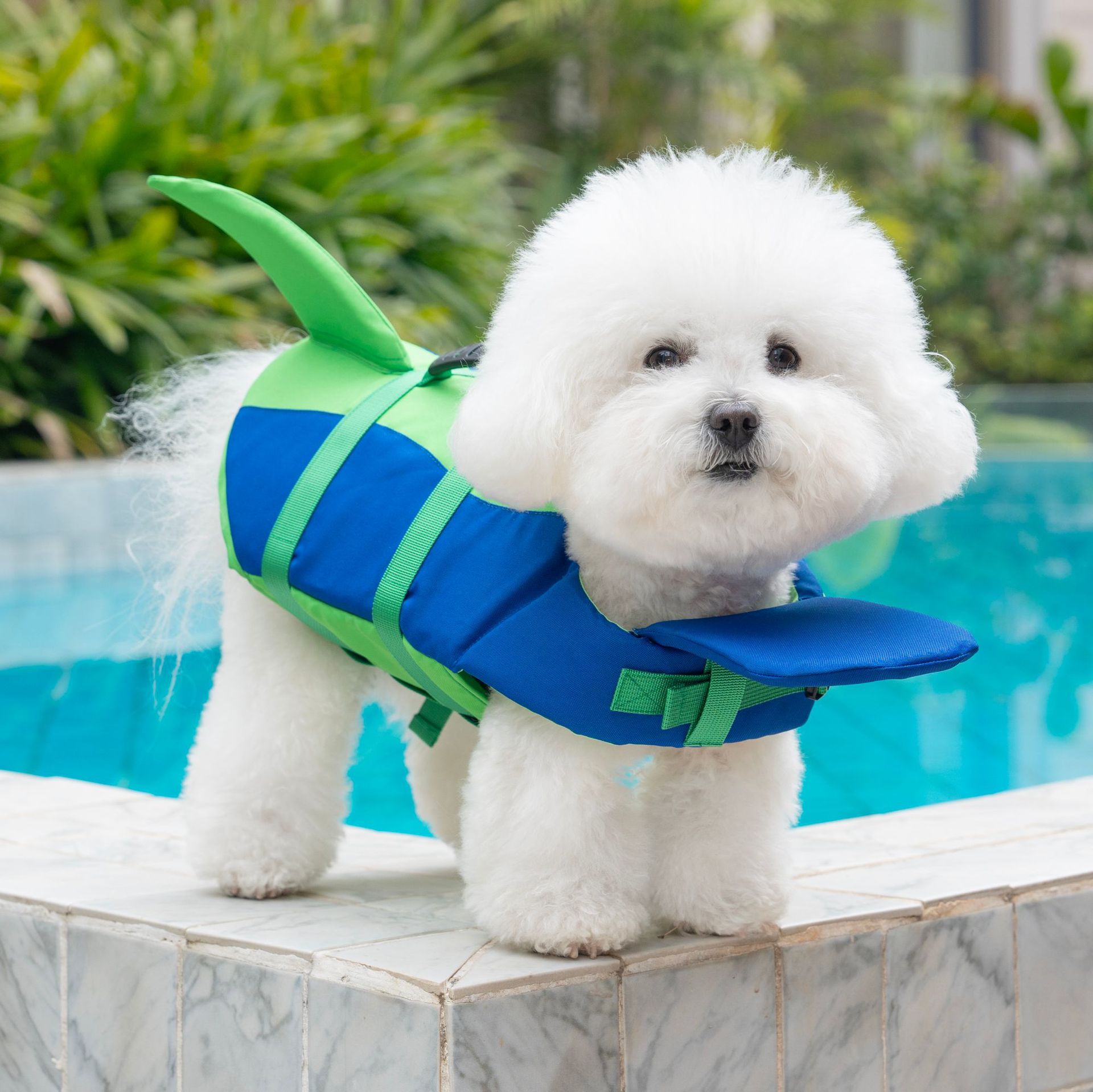 سترة نجاة للكلاب على شكل سمكة  - مراجعة Dog Life Jacket Vest Buoyancy Handle وسعره