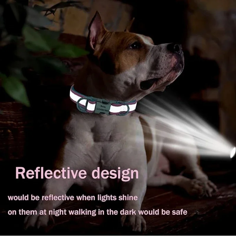 طوق كلب عاكس قابل للتعديل، نقش - مراجعة Reflective Dog Collar Personalized Engraved وسعره
