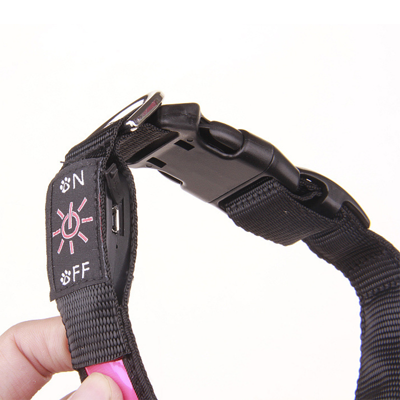 Pinkycolor USB شحن LED الكلب ط - مراجعة Led Dog Collar Glowing Rechargeable Usb وسعره