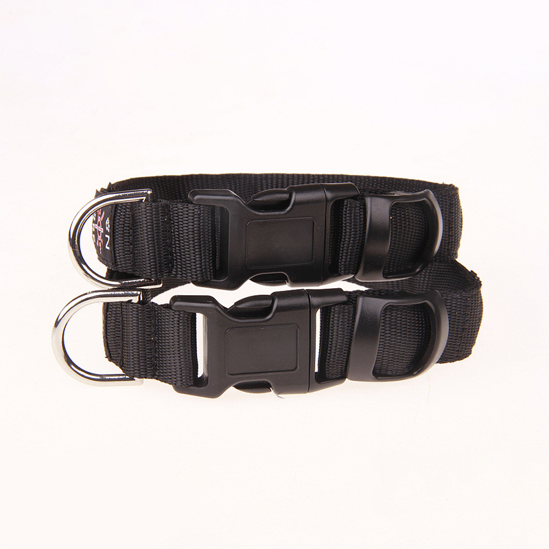 Pinkycolor USB شحن LED الكلب ط - مراجعة Led Dog Collar Glowing Rechargeable Usb وسعره
