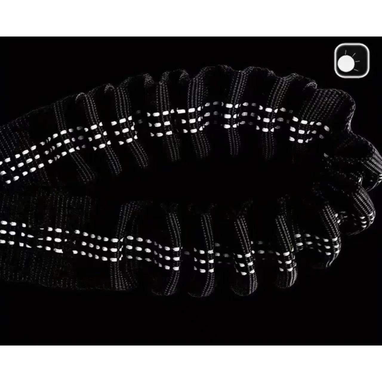 وصلة مقود الكلاب المزدوجة - مق - مراجعة Bungee Dog Leash Shock Absorbing وسعره