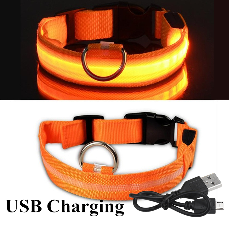 الملونة USB قابلة للشحن كلب LE - مراجعة Led Dog Collar Glowing Rechargeable Usb وسعره