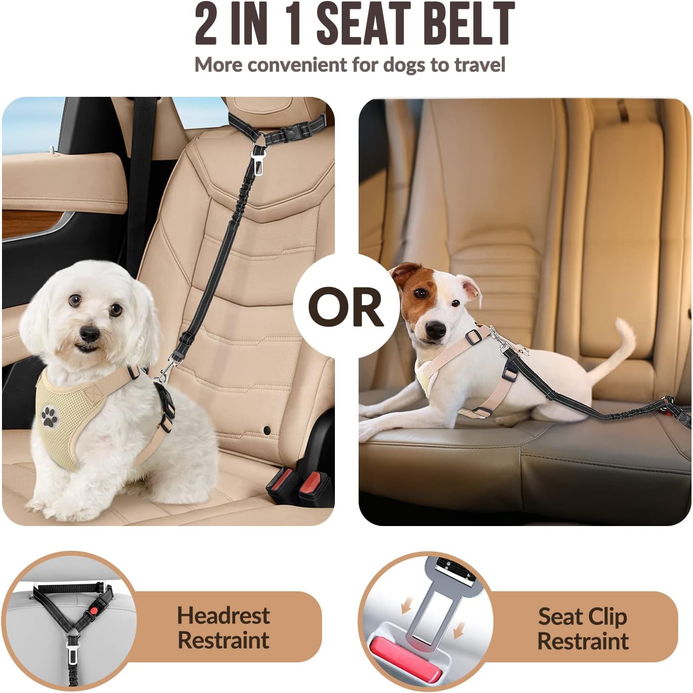 حزام مقعد الكلب للسيارة، حزام  - مراجعة Dog Seat Belt Harness Safety Tether وسعره