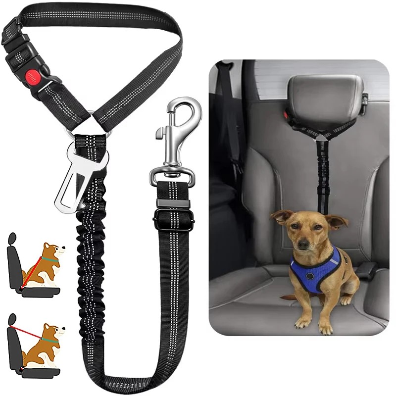 حزام أمان للكلاب 2 في 1، حزام  - مراجعة Bungee Dog Leash Shock Absorbing وسعره