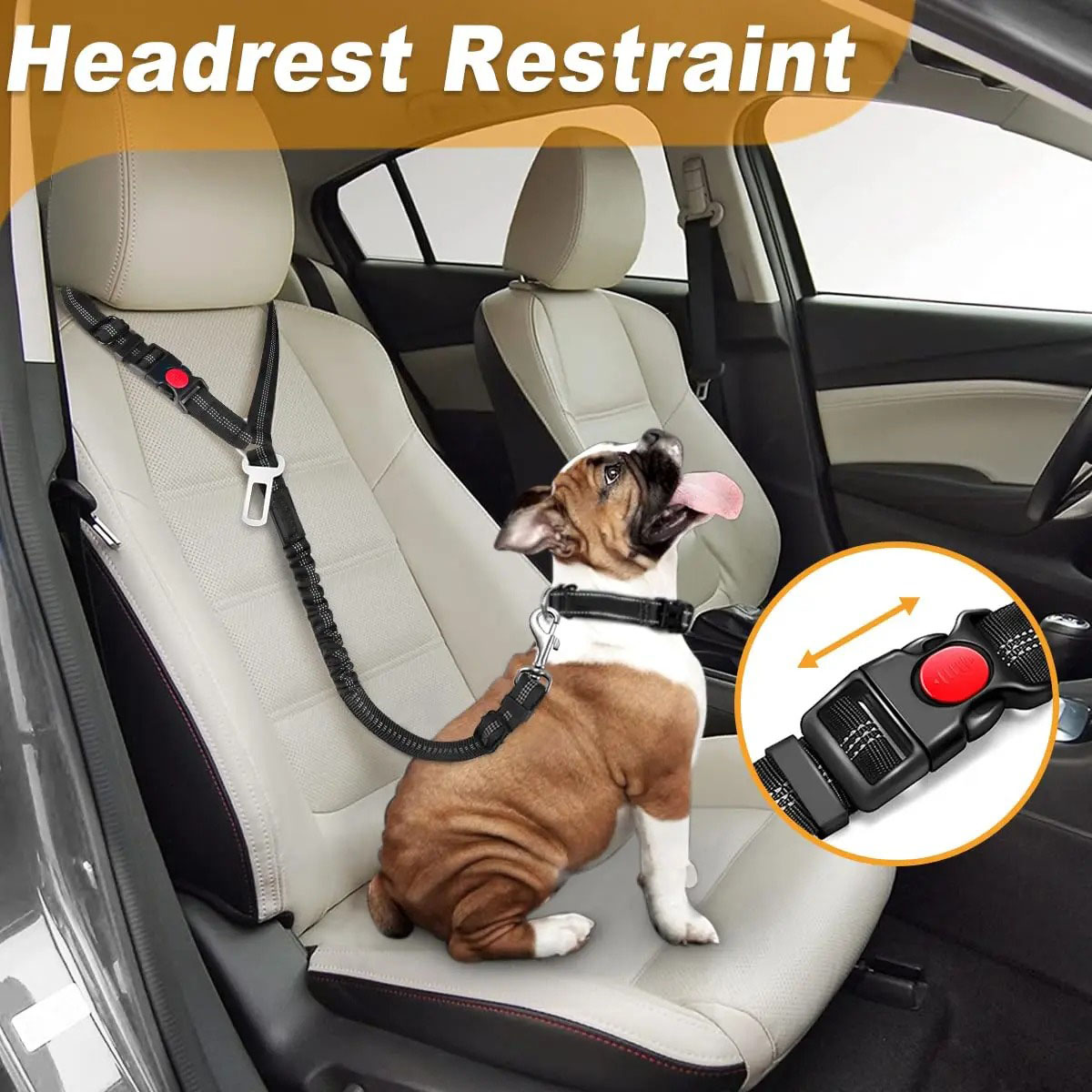 حزام أمان للكلاب 2 في 1، حزام  - مراجعة Bungee Dog Leash Shock Absorbing وسعره
