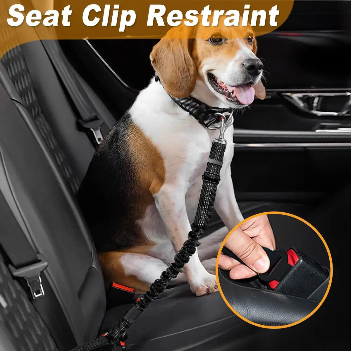 حزام أمان للكلاب 2 في 1، حزام  - مراجعة Bungee Dog Leash Shock Absorbing وسعره