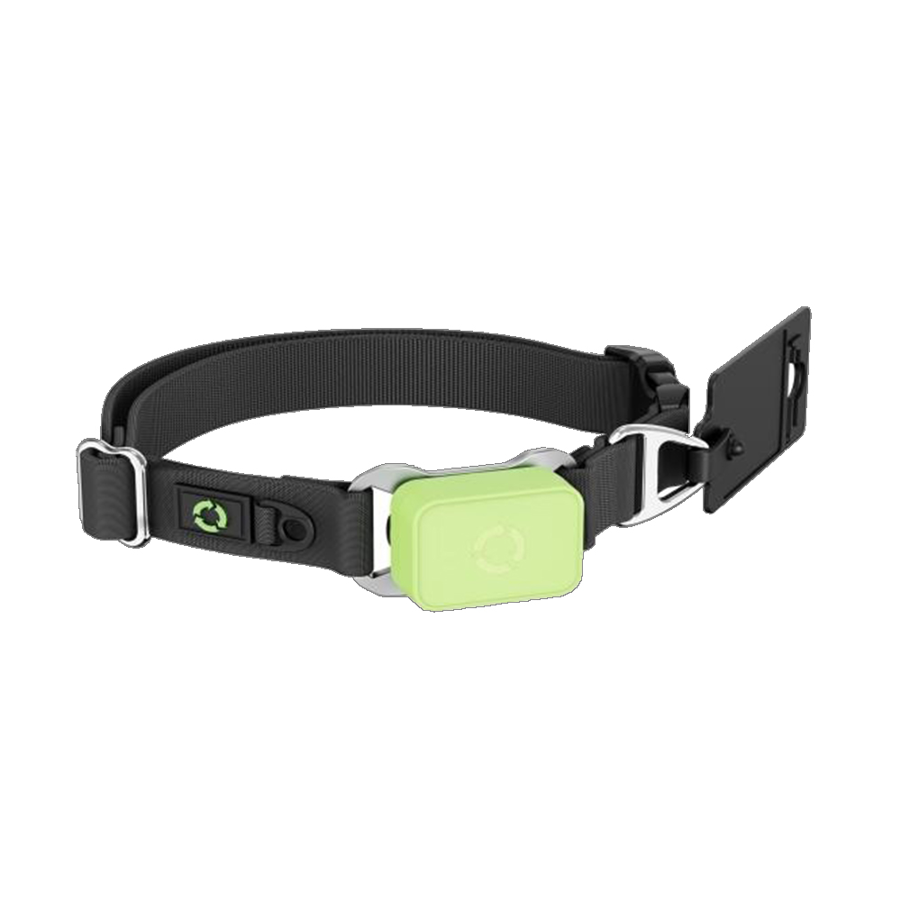 جهاز تعقب صحة الحيوانات الأليف - مراجعة Pet Activity Health Monitor Tracker وسعره