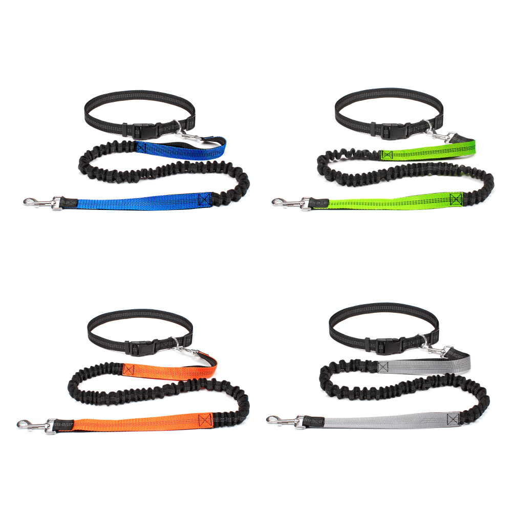 حزام كلب بدون استخدام اليدين ل - مراجعة Hands Free Dog Running Leash Waist Belt وسعره